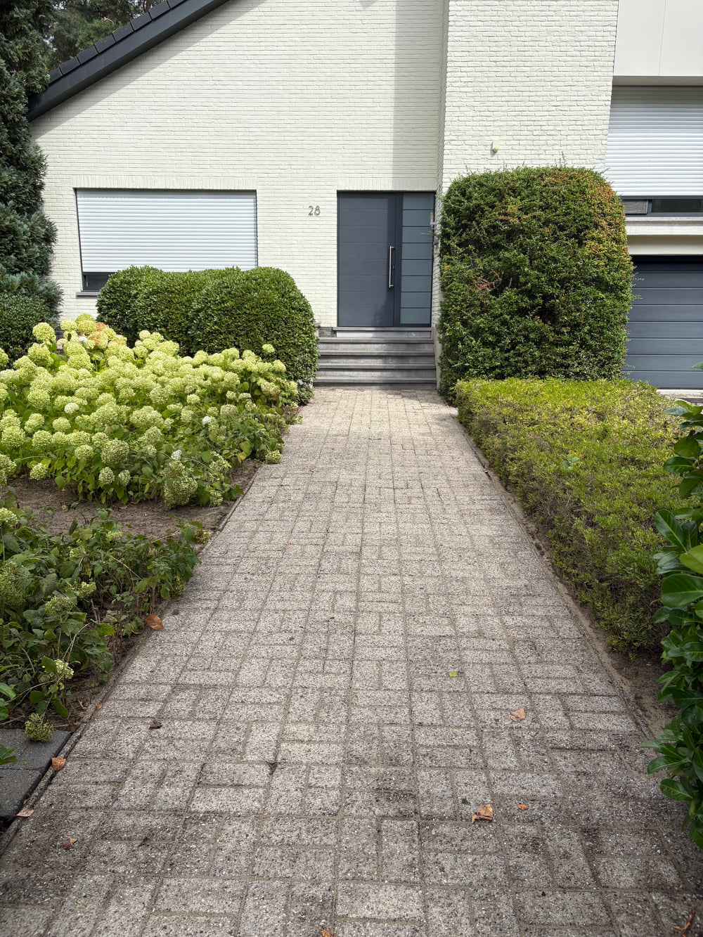 Tuinpad reinigen na de reiniging door Loots Cleaning
