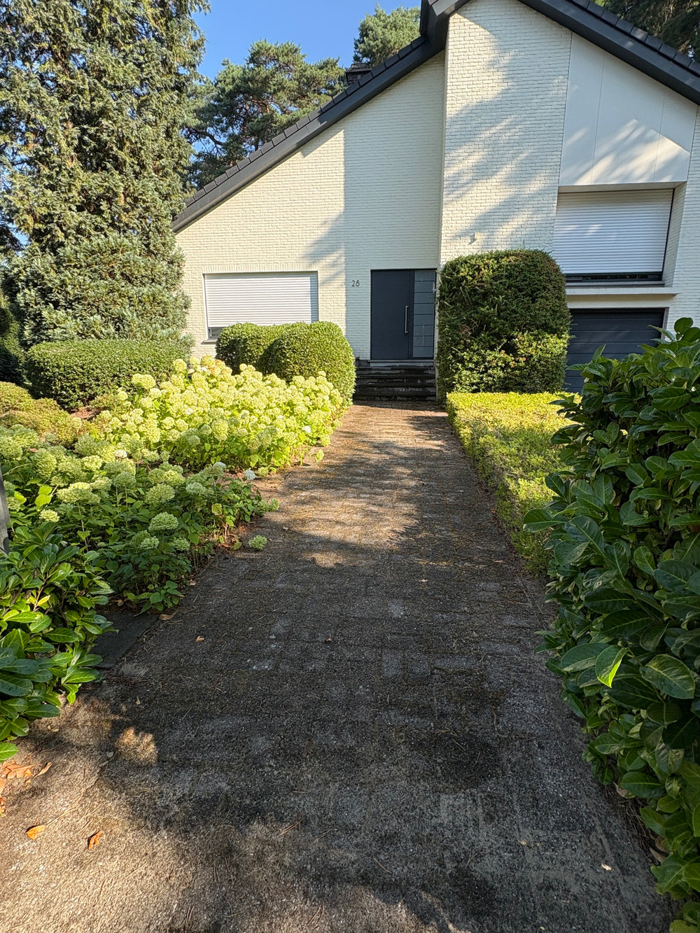 Tuinpad reinigen vóór de reiniging door Loots Cleaning